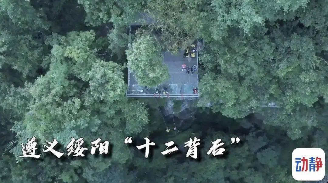 卡通骆驼救援