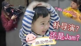 拯救昆虫群