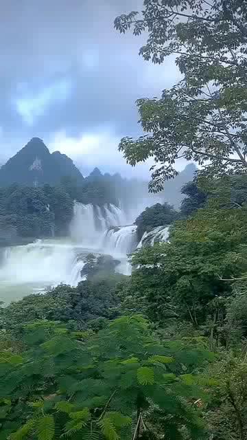 学法律的是考研好还是考证好?-专业问答网站,解答你的疑问