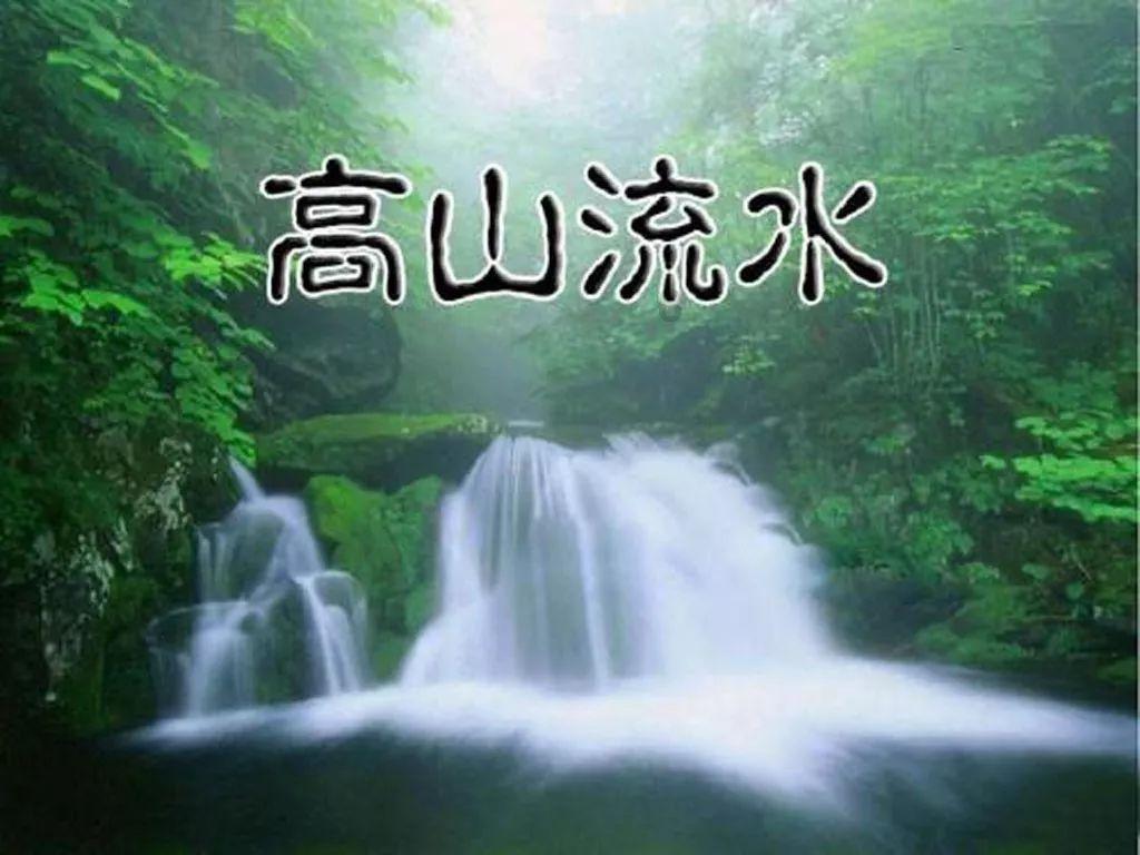 100种花的寓意和花语游戏画面